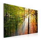 Arkiio Tavla A Calm Autumn Forest A3-N1393-DKXA