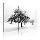 Arkiio Tavla Trees Submerged In White A3-N1389-DKXA