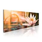 Arkiio Tavla Beautiful Lotus A3-N6216-DKXA
