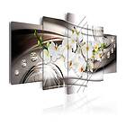 Arkiio Tavla Orchid With Diamonds A3-N3770A