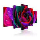 Arkiio Tavla Multicoloured Rose A3-N2355A