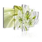 Arkiio Tavla Green Glow A3-N6068A