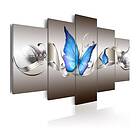 Arkiio Tavla Blue Butterflies A3-N2823A