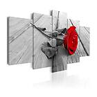 Arkiio Tavla Rose On Wood Wide Red 5 delar A3-N3363A