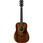 Ibanez AW54JR-OPN