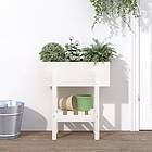 vidaXL Odlingslåda 62x30x69 cm vit massiv furu 825234