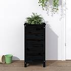 vidaXL Odlingslåda 40x40x78 cm svart massiv furu 825279