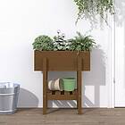 vidaXL Odlingslåda 62x30x69 cm honungsbrun massiv furu 825236