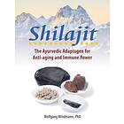 Shilajit The Ayurvedic Adaptogen for Anti-aging and Immune Power