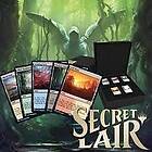 Magic The Gathering: Secret Lair Ultimate Edition - The Enemy Fetch lands