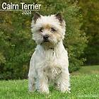 Cairn Terrier Calendar 2024 Square Dog Breed Wall Calendar 16 Month