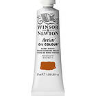 Winsor & Newton Artists' Oil Colour 37ml – Burnt Sienna 074