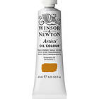 Winsor & Newton Artists' Oil Colour 37ml – Transparent Gold Ochre 646