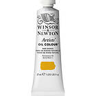 Winsor & Newton Artists' Oil Colour 37ml – Raw Sienna 552