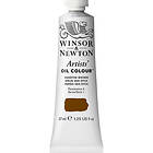 Winsor & Newton Artists' Oil Colour 37ml – Vandyke Brown 676