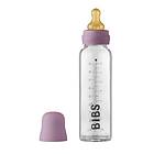 Bibs Baby Glass Bottle Complete Set