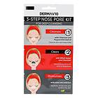 DermaV10 3 Step Nose Pore Kit