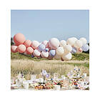 Blush, Naken och Blue Balloon Arch Set