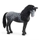 Schleich Pura Raza Espanola Mare 13922