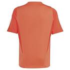 Adidas Sportswear Bayern Munich 23/24 Junior Short Sleeve T-shirt Training Orange 15-16 Years