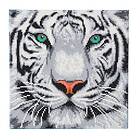 Crystal Art Kit Craft Buddy White Tiger Canvas 30x30 cm