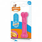 Nylabone Puppy Teething Dental Chew Rosa