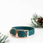 Classy Tyylivoitto Hundhalsband Grön (XXS)
