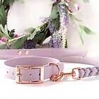 Classy Tyylivoitto Hundhalsband Stor Modell Lila (L)