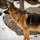Feel Active Outdoor Hundsele med Ficka Svart (M)