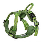 Feel Active Eco Training Hundsele Grön (XL)