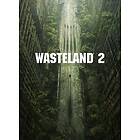 Wasteland 2: Director's Cut Classic Edition (PC)