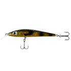 iFish I-Fish The Slender 9 cm Spotted Dirt Roach