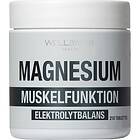 WellAware Magnesium Tablett 210 St