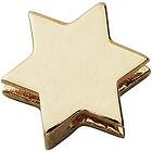 Design Letters Star Charm Gold