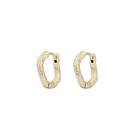 Snö Of Sweden Oz Small Ring Earrings Plain Gold 15 mm