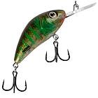 Salmo Rattlin´ Hornet 5,5F 5,5 cm vaappu Clear Floating Green Gill