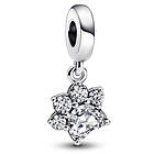 Pandora Moments Sparkling Pet Paw Print Sterling silver berlock 792247C01