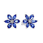 Pandora Timeless Sparkling Herbarium Cluster Sterling silver örhängen 292407C01