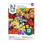 Nelson Garden Frö Nemesia Carnival Mix 87926