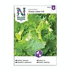 Nelson Garden Frö Isbergssallat Great Lakes 118 Sallat 86019
