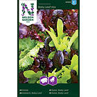 Nelson Garden Sallat, Baby Leaf Baby Leaf mix Fröer 6-8 m