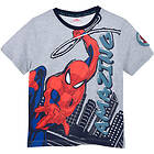 Marvel Spider-Man T-shirt Light Grey