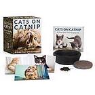 Cats on Catnip: A Grow-Your-Own Catnip Kit