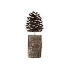 Tallkotte Pinecone 23 cm, Brun