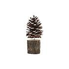 Tallkotte Pinecone 18 cm, Brun