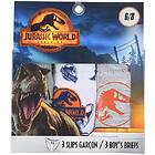 Jurassic World Kalsonger 3-pack, Grey/White