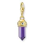 Thomas Sabo Charm Club Charmista hexagon purple stone yellow-gold plated berlock 2048-973-13