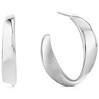 Calvin Klein ethereal metals örhängen 35000533