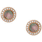 Fossil örhängen Grey Mother-Of-Pearl Glitz Studs JF02949791