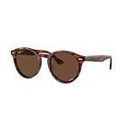 Ray-Ban RB7680S Larry Polarized